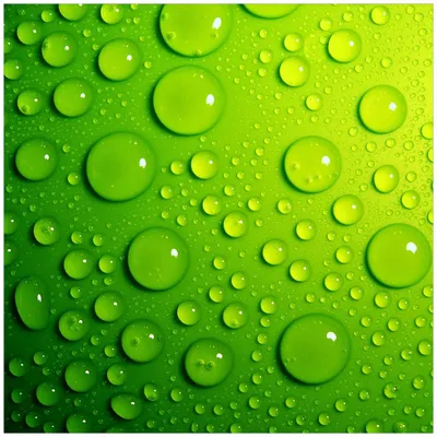 Produktbild von Wallario Magnet für Kühlschrank / Geschirrspüler, magnetisch haftende Folie - 60 x 60 cm, Motiv: Wassertropfen auf Grün