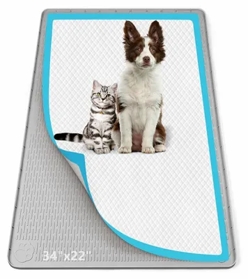 Productafbeelding van Lekvrije Siliconen Urine-opvangmat voor Huisdieren, 86 x 56 cm