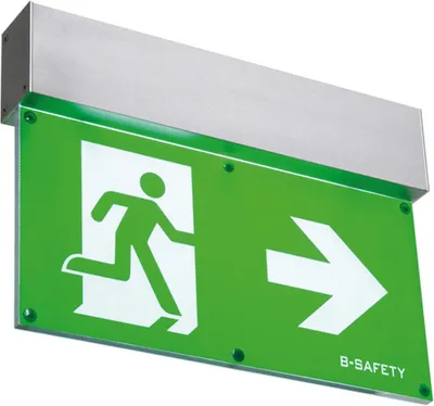 Produktbild von Notleuchte L- Lux Standard LED | 274x195 mm, 1 Stk