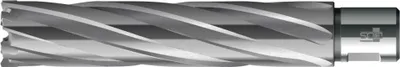 Obrázok produktu pre BDS jadrový vrták HKE-L Weldon HM extra dlhý, 60/110 mm, priemer:49 mm, rezný materiál:oceľ/ INOX, upevnenie:stopka Weldon 19 mm, hĺbka rezu:110 mm, Ø vrtáka:49 mm