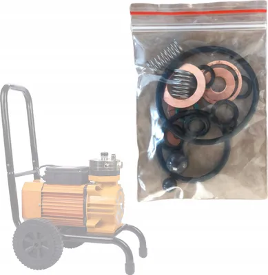 Imagen del producto de Kit Reparacion Pulverizador Airless – Piezas De Repuesto Juntas Bolas Arandelas Muelles | Alta Calidad Duradera