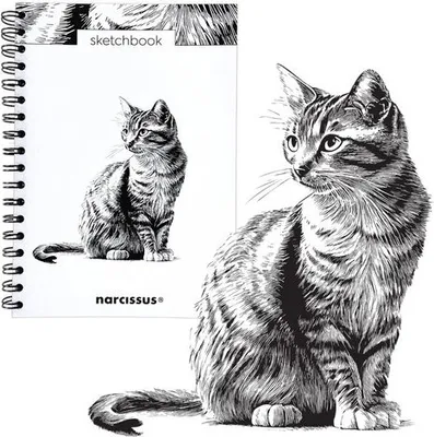 Produktbild von Narcissus Skicák B5 Spirálový Kot 60 listů 120gsm