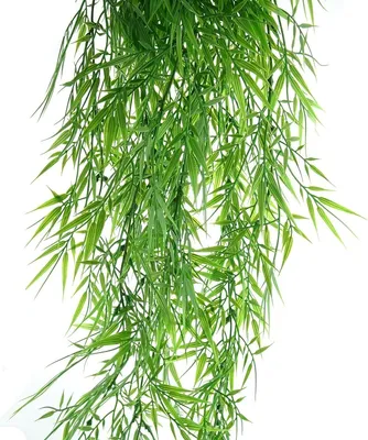 Produktbild von Bambus hängend 102 cm - Kunstblumen