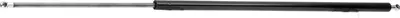 Produktbild von RIDEX 219G0149 Gasfeder Heckklappendämpfer für OPEL Vivaro A Kastenwagen (X83) 905mm