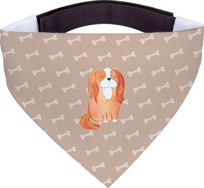 Produktbild von Mr. & Mrs. Panda Hund Halstuch Hund Cavalier King Charles Spaniel - Hundeglück - Geschenk, Hunde-Halstuch, Schlappohren, Sprüche, Für Hunde, Spruch, Tuch