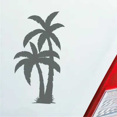 Produktbild von Auto Aufkleber Palme Palms Beach Strand Kokospalme Pflanze 5x10 cm Grau Sticker Heckscheibenaufkleber