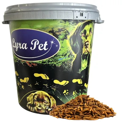 Produktbild von 5 kg Lyra Pet® Mehlwürmer-/Soldatenfliegenlarven-Mix in 30 L Tonne
