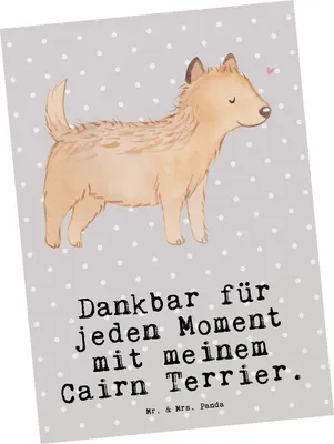 Produktbild von Mr. & Mrs. Panda Postkarte Cairn Terrier Moment - Grau Pastell - Geschenk, bildkarte, Postkarten, Grußkarte, Ansichtskarten, Fotokarte