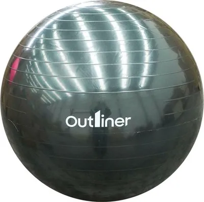 Obrázek produktu pro Outliner Gym Ball Pvc Ls3221-75Cm