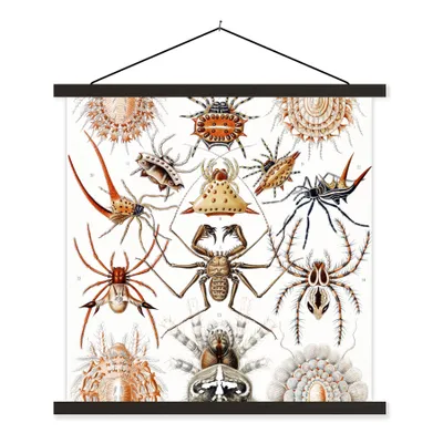 Produktbild von MuchoWow® Textilposter Retro - Spinne - Ernst Haeckel - Spinnen 120x120 cm mit schwarzem Rahmen - Aufhängungsset