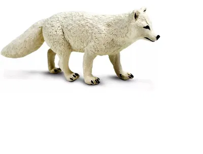 Produktbild von Safari Ltd 100731, Polarfuchs, 10 cm Serie Wildtiere