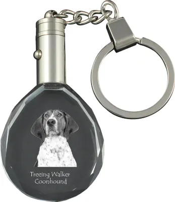Obrázek produktu pro Treeing Walker Coonhound - přívěsek s fotografií psa, křišťálový přívěsek na klíče v dárkové krabičce, jedinečný dárek od Art-Dog
