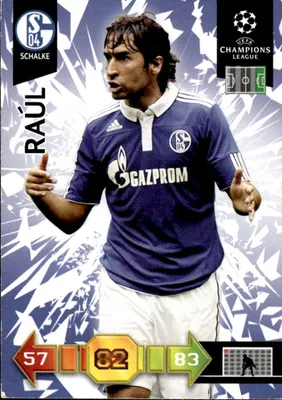 Image de 2010/11 Champions League Panini Card: Schalke – Raúl