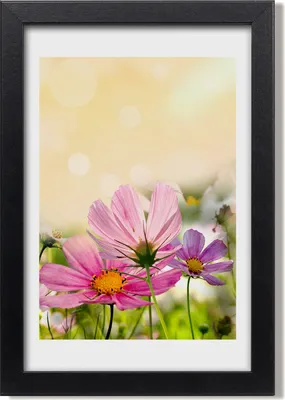 Produktbild von Bild 20x30 MDF-Rahmen, Wandkunst Wildblumen