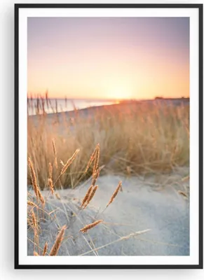 Produktbild von Gerahmtes Poster - Schwarzer Rahmen - Sonne Vögel Sand - 70x100 cm - Wand Bild - Wanddeko - Wandbilder - Kunstposter - Wandposter - Bilderrahmen - Bilder - Kunstdruck - P2BPA70x100-4810