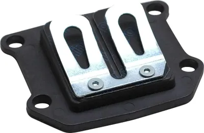 Image de Bloc membrane Polini pour Minarelli vertical