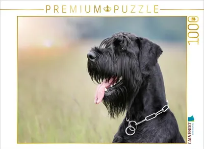 Produktbild von CALVENDO Puzzle Riesenschnauzer - Seelenhund | 1000 Teile Lege-Größe 64x48cm Foto-Puzzle für glückliche Stunden