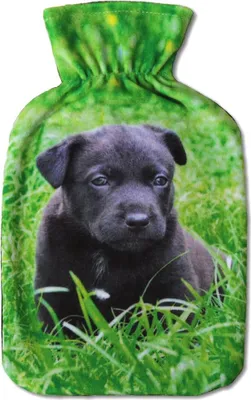 Produktbild von Wärmflaschenbezug 1L Heizkissen Wasserkissen, Auswahl: Labrador Welpe, ohne Wärmflasche