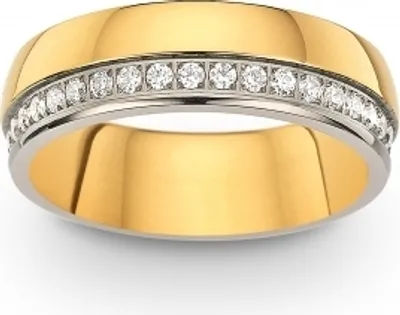 Produktbild von CEM Ring aus Titan, Silber & Gold, mit mehreren Zirkonia Steinen, Größe 56