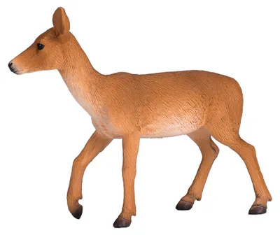 Produktbild von Animal Planet Weißwedelhirschkitz