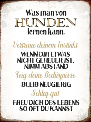 Produktbild von vianmo Holzschild 40x30 cm was man von Hunden lernen kann