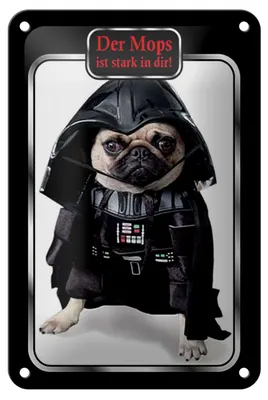 Produktbild von Blechschild Spruch 12x18cm der Mops ist stark in dir Hund