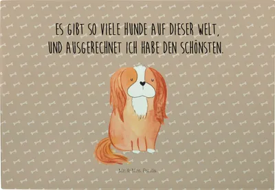 Produktbild von Mr. & Mrs. Panda Servierplatte Hund Cavalier King Charles Spaniel - Hundeglück - Geschenk, Schneidebrett, Sprüche, Spruch, Frühstücksbrett, Cockerspaniel, schneidbrett