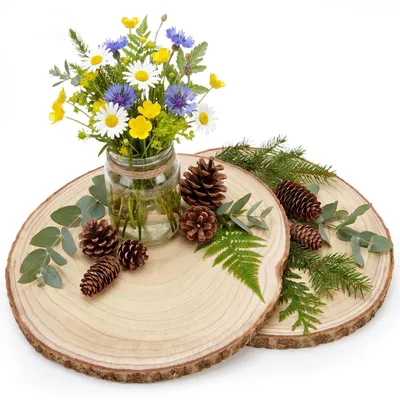Baumscheiben, 2 Stück, Holz, mit Rinde, 35-38 cm