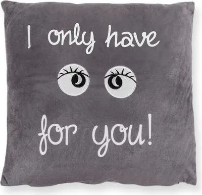 Produktbild von Nicki Kissen samt weich incl. Füllung 40x40 cm Kissenbezug in Grau mit Stickerei I only have eyes for you