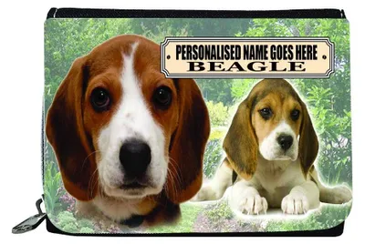 Produktbild von Personalisierte Geldbörse mit Beagle-Motiv