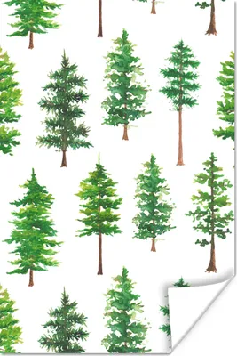 Produktbild von MuchoWow® Poster Aquarell - Tannenbaum - Muster 120x180 cm - Kunstposter