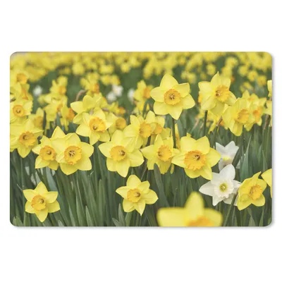 Produktbild von MuchoWow® Mauspad Mousepad Blumen - Gelb - Narzissen 27x18 cm - Mousepads - Maus Mat - Pad - Mausunterlage - Büroartikel - Desk Matten