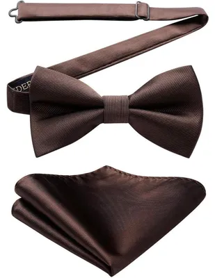 Produktbild von Fliegen-Set Herren vorgebunden mit Einstecktuch braun