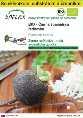 Obrázok produktu pre SAFLAX Kultivačný set - BIO - Čierna španielska reďkovka - Raphanus sativus - 100 Semená - S mini skleníkom, pestovateľským substrátom a 2 črepníkmi