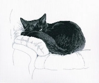 Immagine prodotto di Set per punto croce RTO "Gatto nero" M668, schema contato, 27x23,5 cm
