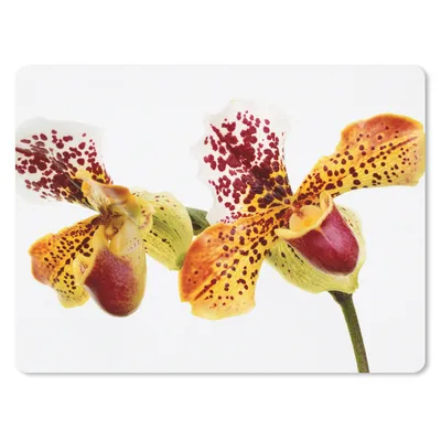 Produktbild von MuchoWow® Mauspad Mousepad Orange Orchidee 23x19 cm - Mousepads - Maus Mat - Pad - Mausunterlage - Schreibtischunterlage - Mauspad