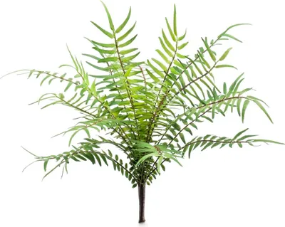 Produktbild von artplants.de Kunst Rippenfarn CASCOT auf Steckstab, grün, 25cm - Künstlicher Farn/Zimmerpflanze Deko