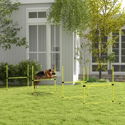 Produktbild von Hunde Agility Set 2 Hürden Slalomstangen höhenverstellbar mitwachsend, Kunststoff, Gelb | 99 x 65 x 94 cm | 4 kg | mit Tragetasche
