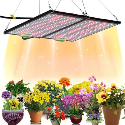 A grow light illuminating a collection of potted plants.