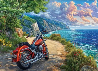 Immagine prodotto di Puzzle di Cobble Hill Arrivato - 500 pezzi - divertente puzzle colorato