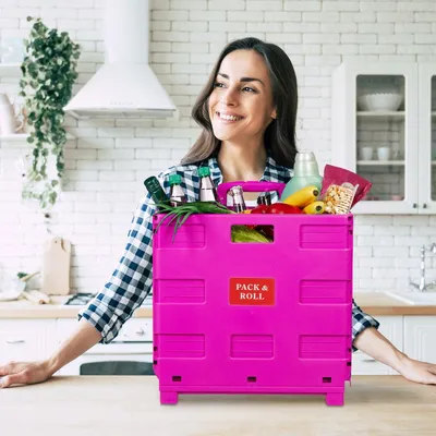Produktbild von Zusammenklappbarer Einkaufswagen mit Teleskopgriff, 35 kg Tragkraft