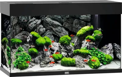 Produktbild von Aquarium JUWEL Rio 125 mit LED-Beleuchtung, Pumpe, Filter, Heizer ohne Unterschrank schwarz