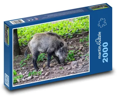 Zdjęcie produktu dla martinpuzzle - Puzzle 2000 - Divočák