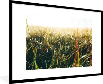 Produktbild von MuchoWow® Gerahmtes Poster Rasenfläche - Pampasgras 90x60 cm - Poster mit Schwarzem Bilderrahmen Wandposter Rahmen Foto Bilder - Wanddekoration - Fotos