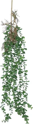 Produktbild von Kunstliche Blume/kunstlicher Zweig Eukalyptus hangend - 97 cm - grun - kunstliche Hangepflanzen