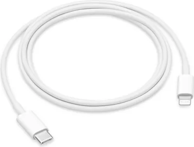 Image de Apple MQGJ2ZM 1 m blanc