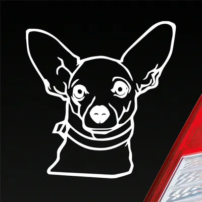 Produktbild von Auto Aufkleber Chihuahua Hund Dog Animal Tier Car 10x10 cm Weiss Matt Sticker Heckscheibenaufkleber