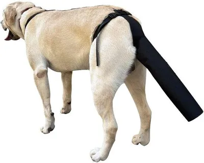 Immagine prodotto di Protezione per la coda del cane - Copricoda per lesioni - Taglia M, nero