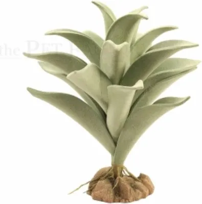 Produktbild von Silver Mullein