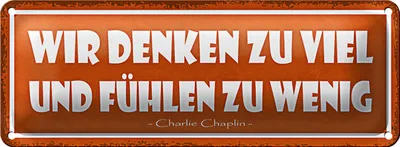 Produktbild von Blechschild Spruch 27x10cm wir denken viel und fühlen wenig Dekoration